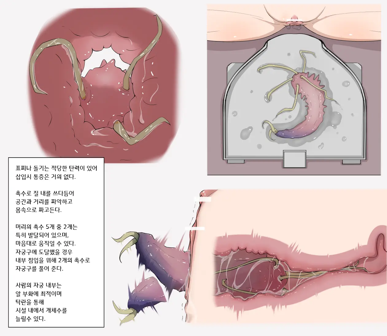 Mushi Research Report No.1